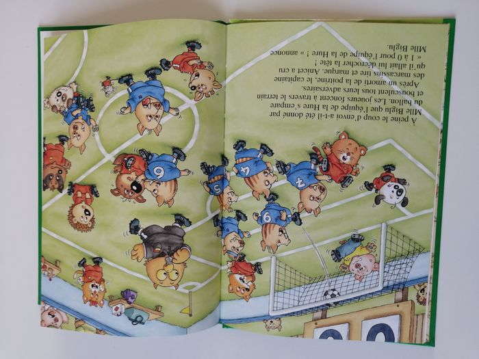 livre mini-loup - photo numéro 3