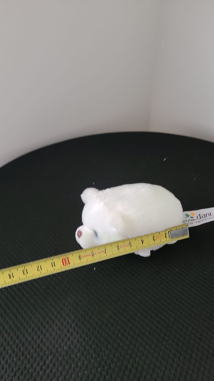 ourson - photo numéro 2