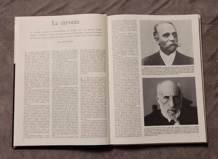 Le cerveau Hubel, David - photo numéro 2