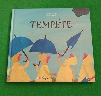 Tempête  livre jeunesse