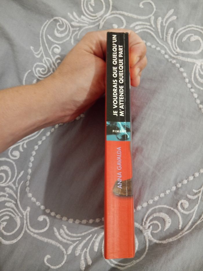 Livre (39) 📚 Je voudrais que quelqu'un m'attende quelque part - photo numéro 3