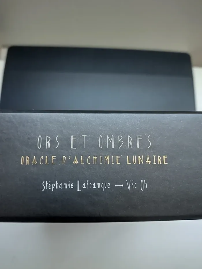 Ors et ombres - photo numéro 2