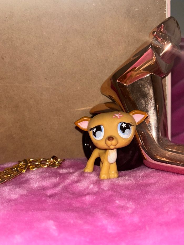 greyhound #498 - photo numéro 2