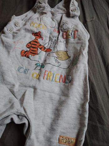 Salotgrisd winnie l'ourson et tigrou