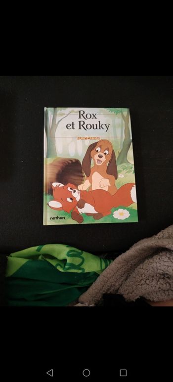 Rox et Rouky