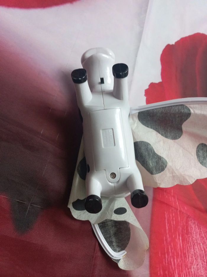 Vache - photo numéro 4