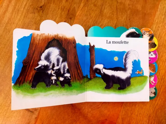 🦉 Les animaux de la nuit 🦝 - photo numéro 4