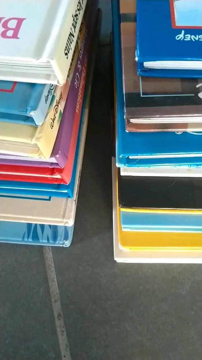 Lot de livres Disney - photo numéro 7