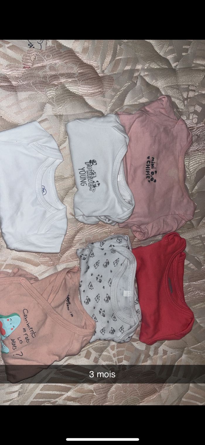 Lot Bodies