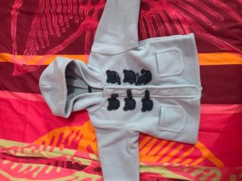 Manteau polaire