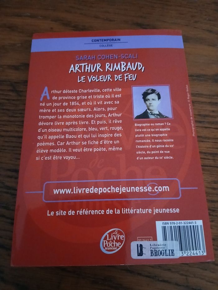 Arthur Rimbaud, le voleur de feu - photo numéro 2