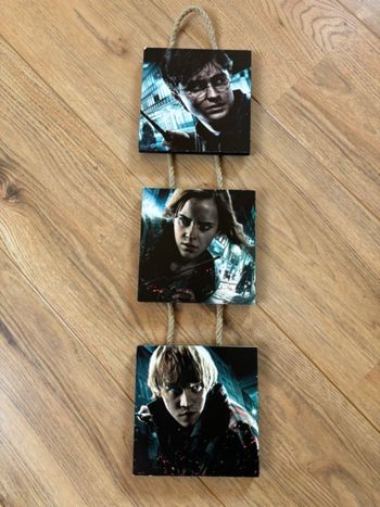 Cadrées triptyques HARRY POTTER