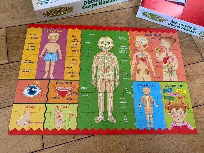 Mes premières découvertes , Puzzle découvre le corps humain - photo numéro 5