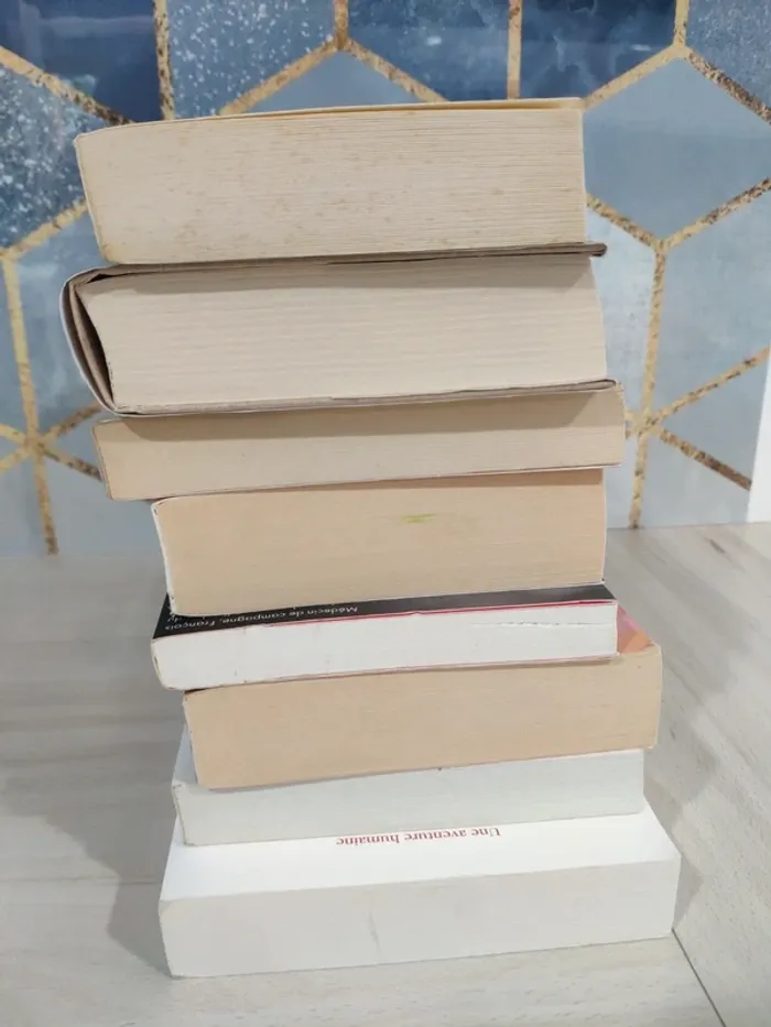 Lot 8 livres histoires d'amour romance passions Bussi Dupuy Auster Oates Bordes Orsenna Turberville - photo numéro 10