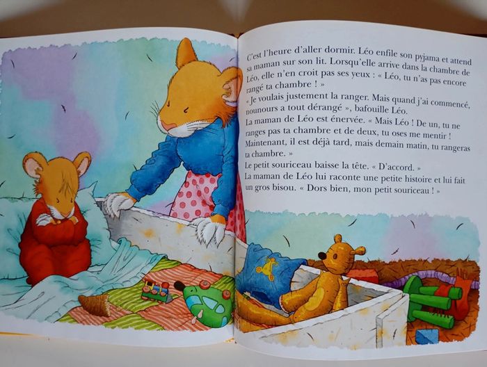 Léo le souriceau ne veut pas ranger - photo numéro 3