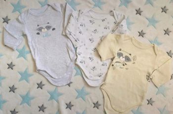 Lot Bodies 6 mois In Extenso