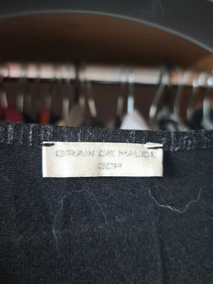 Robe grise - photo numéro 2