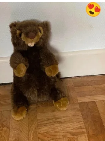 Peluche