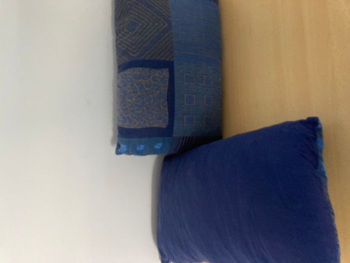lot 2 coussins bleu - photo numéro 7