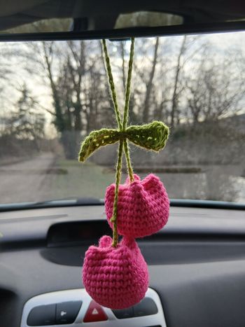 Décoration rétroviseur 