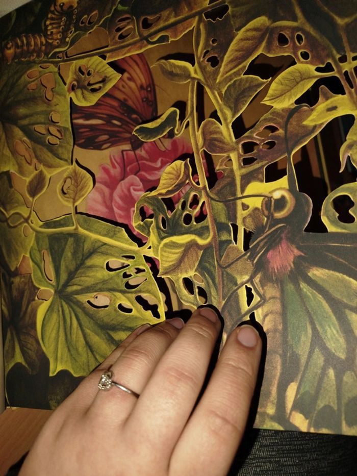 Très beau livre sur les fee - photo numéro 8