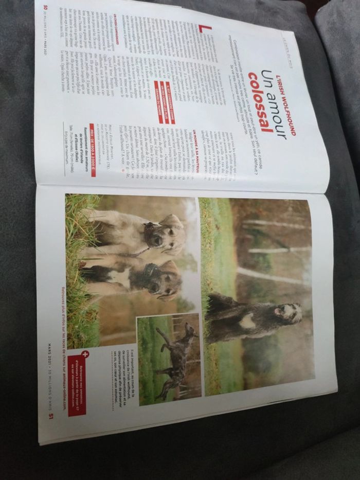 Magazine 30 millions d'amis numéro 393 mars 2021 - photo numéro 10