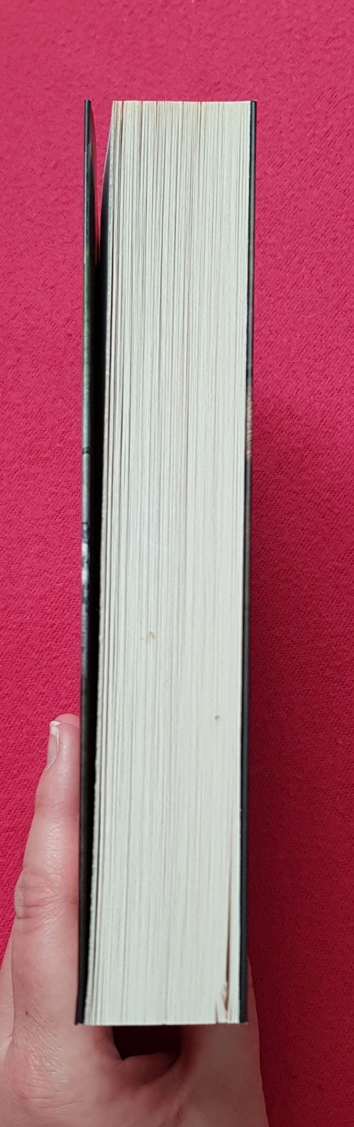 📚 Le mensonge - Hallie Ephron 📚 - photo numéro 5