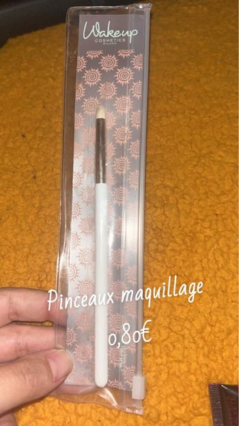 Lot pinceaux
