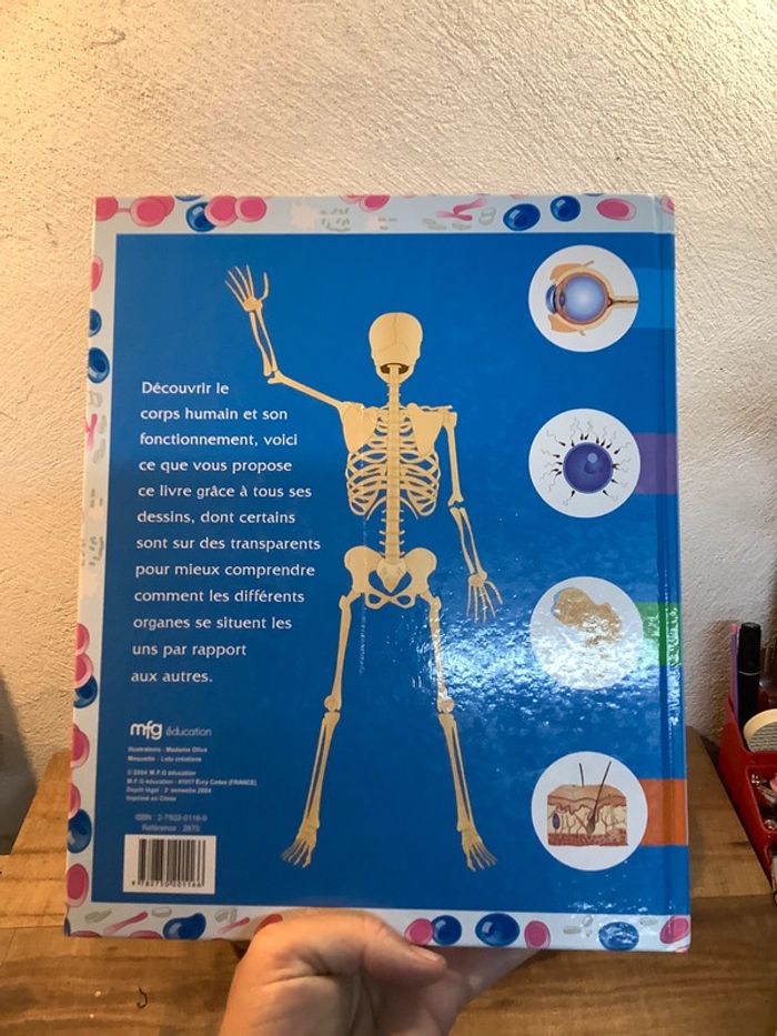 Figurine et livre sur le corps humain - photo numéro 14