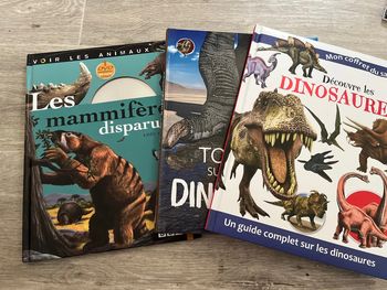 Lot 3 livres dinosaure