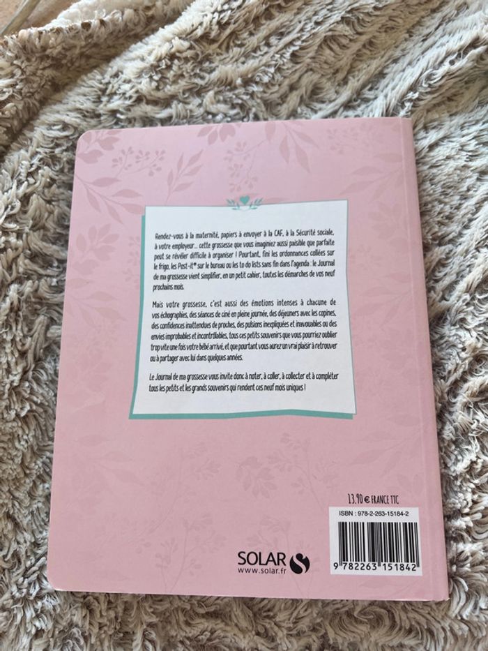 Petit journal de ma grossesse - photo numéro 2