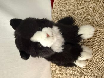 Gipsy Toys Peluche - peluche chat mimiz noir et blanc - - noir