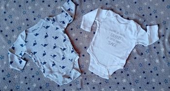 Lot de 2 bodies Gémo taille 6 mois en très bon état