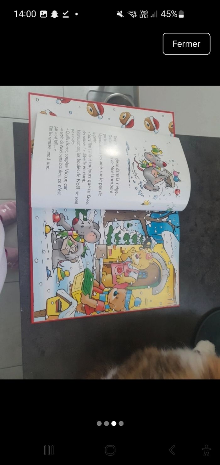 Livre Victor - photo numéro 3