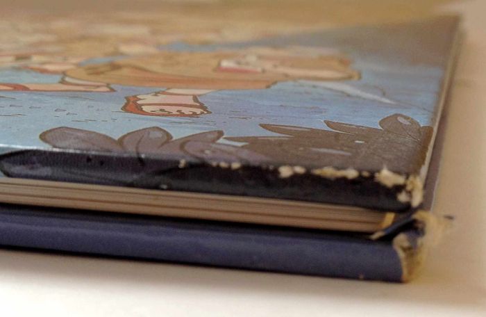 Le petit guide humoristique du vin - photo numéro 6
