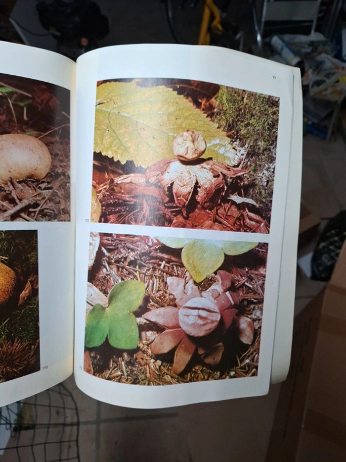 Les champignons Édition Atlas spécial grande encyclopédie Atlas de la médecine - photo numéro 4