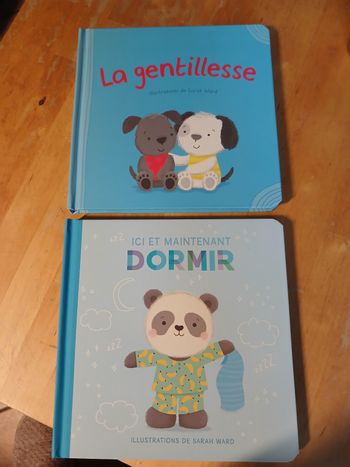 Lot 2 livres cartonnes 