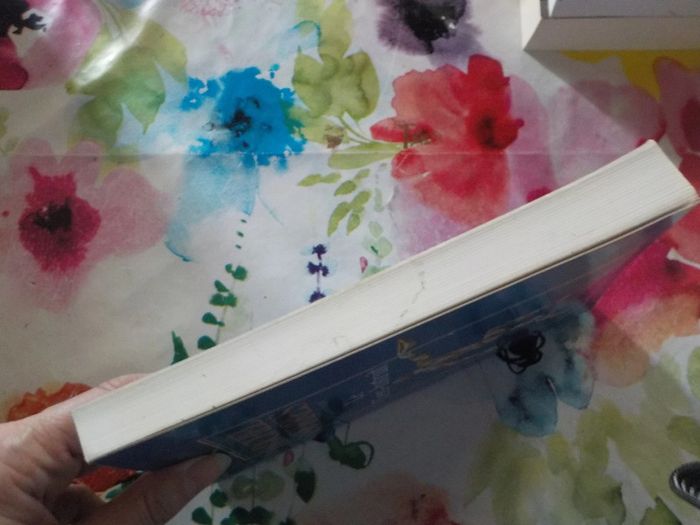 Le Tiers-Instruit par Michel Serres Ed. François Bourin - photo numéro 5