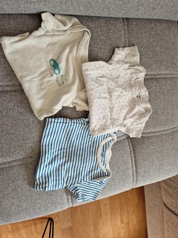 Lot 3 bodies 12 mois