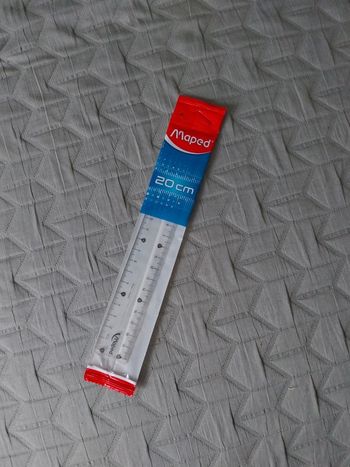 Double décimètre de 20 cm en platique