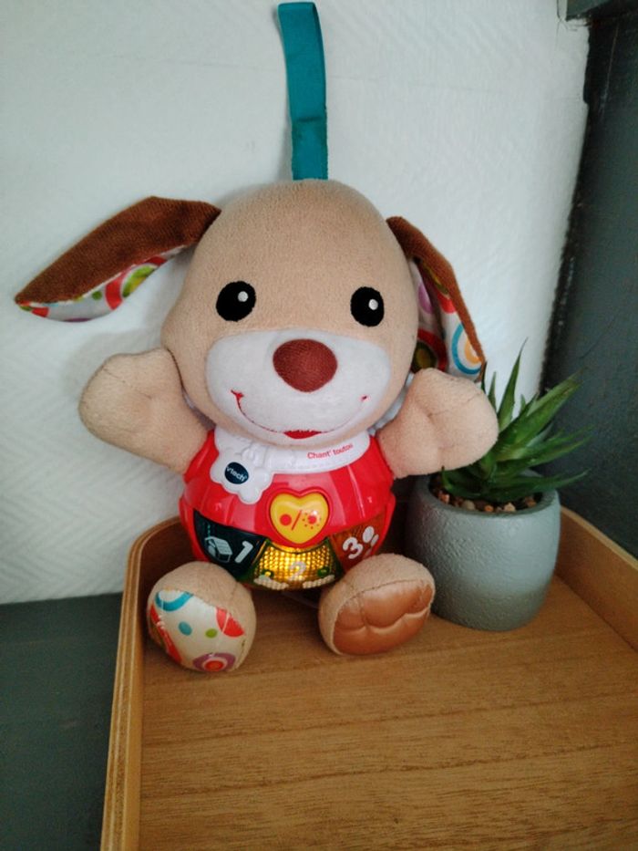 Chien musical - photo numéro 3