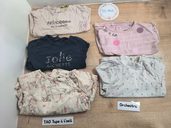 Lot 5 t-shirts 23 mois