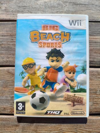 Big beach sports 