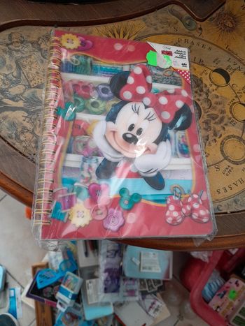 Cahier minnie mousse
