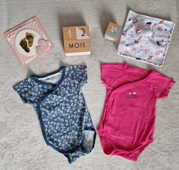 Lot de 2 bodies MC fuschia & bleu - 12M - Gémo [TBE]