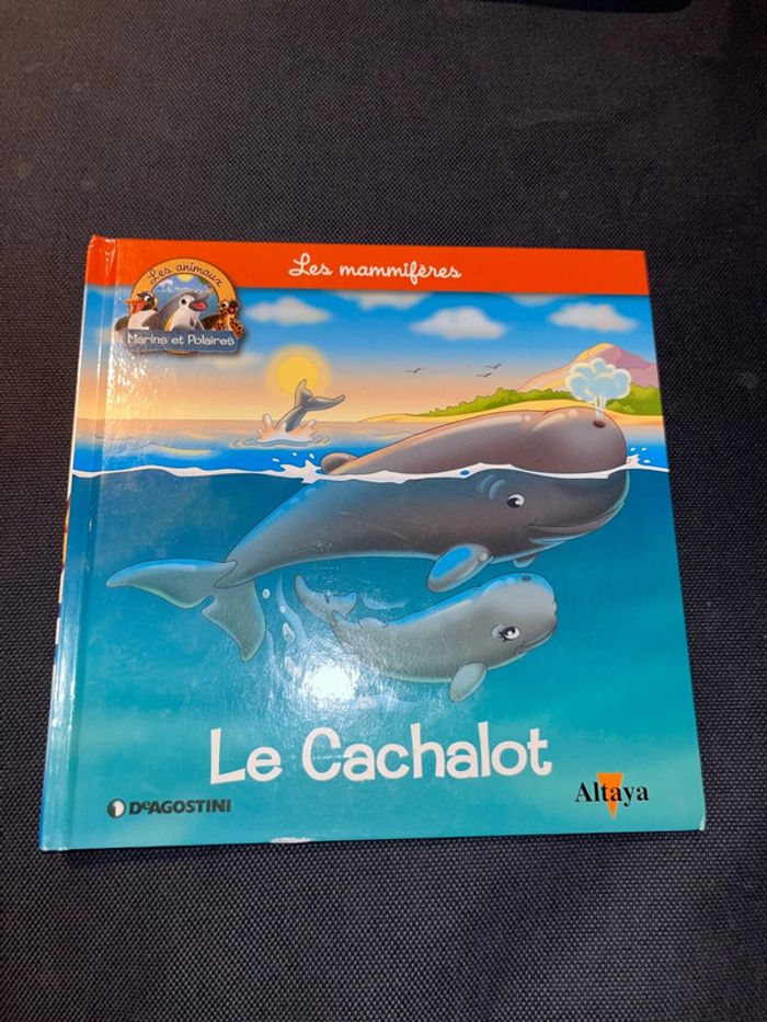 Livre pour enfants altaya les animaux marins et polaires le cachalot
