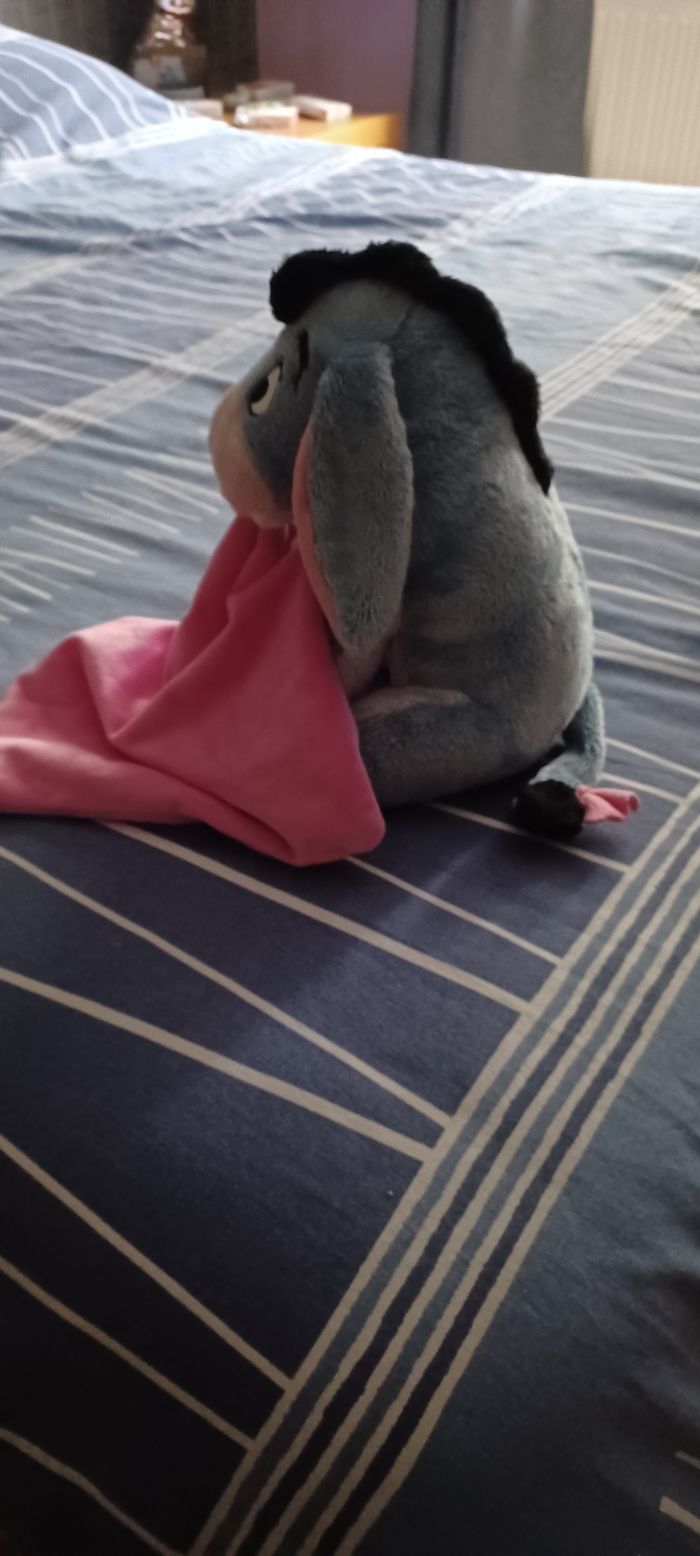 Très joli doudou - photo numéro 4