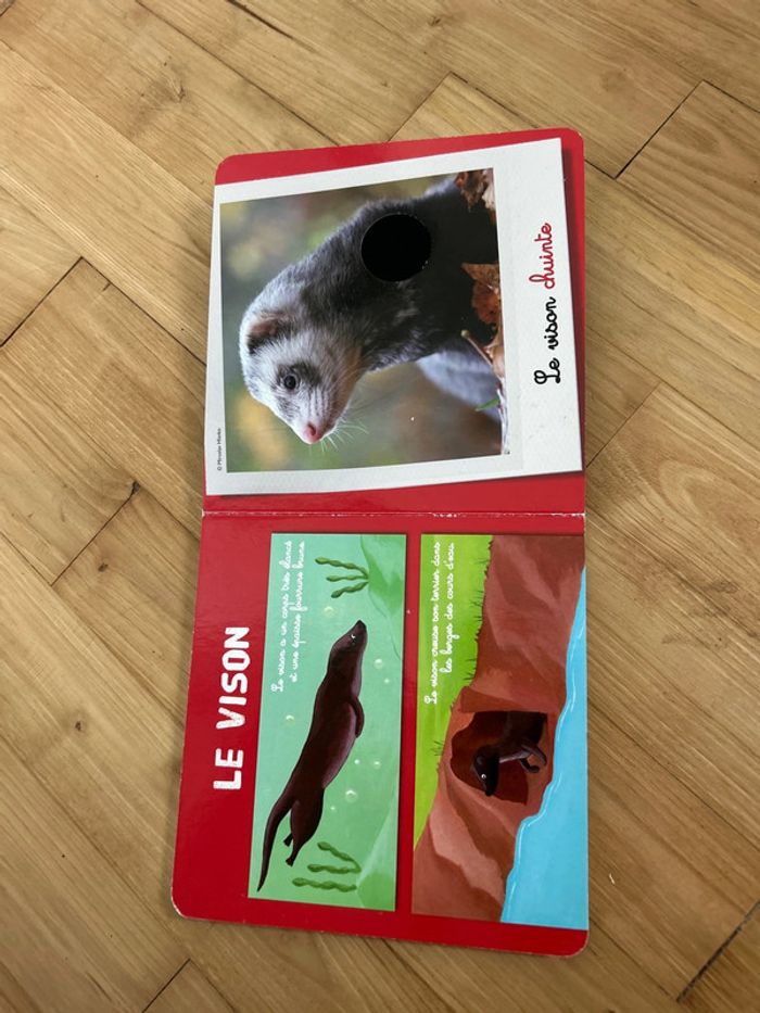 Livre les animaux de l’eau - photo numéro 5