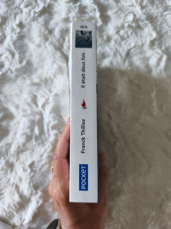 Il était deux fois Franck Thilliez - photo numéro 2