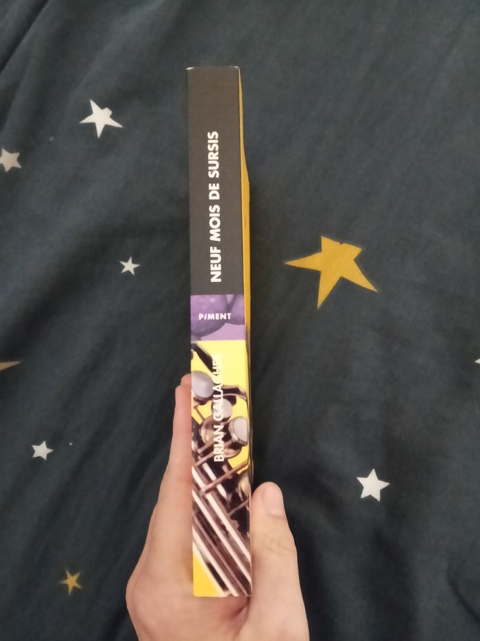 Livre (56) 📚 Neuf mois de sursis - photo numéro 3